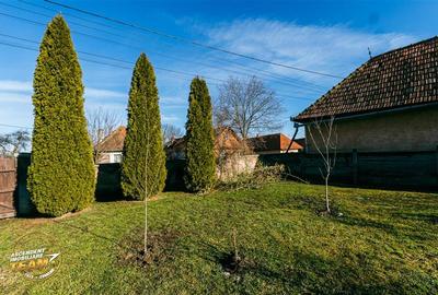 Casă individuală cu 3 camere cu Teren 7608 Mp în Cernat - 14
