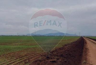 Comision 0 %! Teren extravilan, 21,175 mp Harman - 3