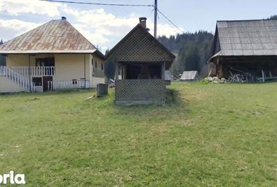 Casă cu 7 camere cu Teren 7553 Mp în Gârda de Sus - 3