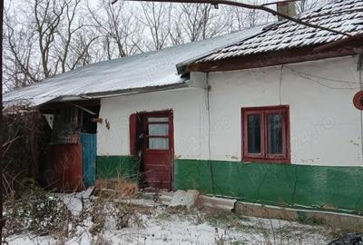 Casă cu 3 camere cu Teren 1600 Mp în Central - 2