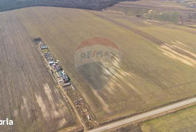 Teren de 13500 mp, în Voinești - 9