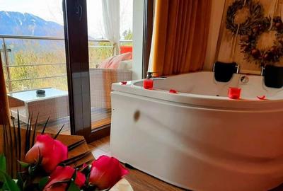Luxury Boutique Villa & Exclusive Penthouse Cioplea, Predeal, Brasov - 12