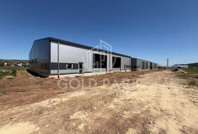 Spațiu industrial, de 598 mp, în Gilău - 7