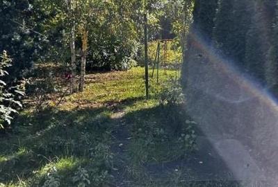 Lacul Snagov,3 camere,suprafata 1170mp,gaze, electricitate, apă, centrala termic - 4