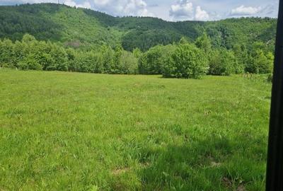 Teren Construcții intravilan de 4411 mp, în Valea Ierii - 1