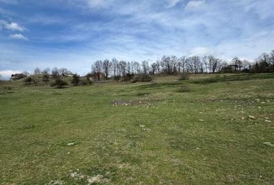 Spațiu comercial, în Central - 1