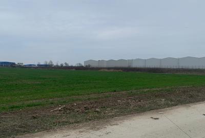 Teren Construcții extravilan de 7500 mp, în Afumați - 3