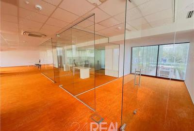 Spațiu comercial, de 441 mp, în Romană - 7