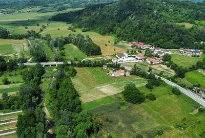 Teren Construcții intravilan de 10176 mp, în Mihăești - 8