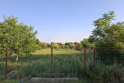 Casă cu 3 camere în Sânandrei - 4