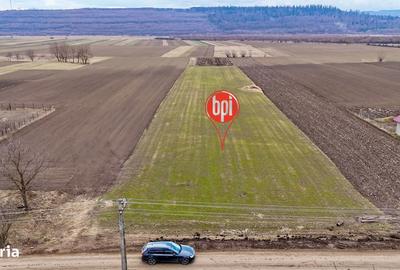 Teren de 6848 mp, în Baia - 12