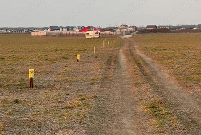 Vanzare Teren Intravilan Magurele 10000mp - 2