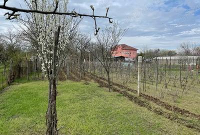 Casă cu 6 camere în Central - 2