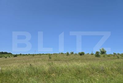 Teren intravilan construibil  in Salicea - 4