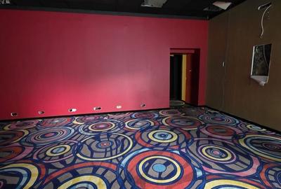 Ion mihalache piata  1 mai 150mp parter - 3