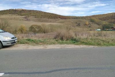 Spațiu comercial, în Sălicea - 3