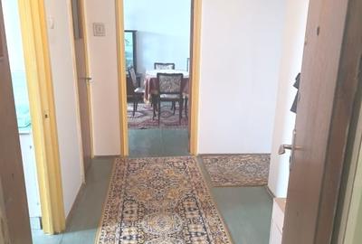 Apartament cu 4 camere decomandat, mobilat în Ozana - 20