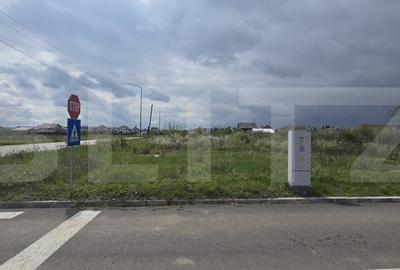 Teren Construcții intravilan de 5000 mp, în Nord-Est - 2