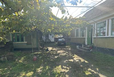 Casa la Sabolciu, Bihor - 3