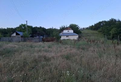 Casă cu 3 camere în Oporelu - 3