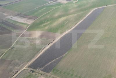 Teren de 45000 mp, în Dobrovăț - 1
