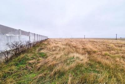 Teren de 1000 mp, în Bradu - 6
