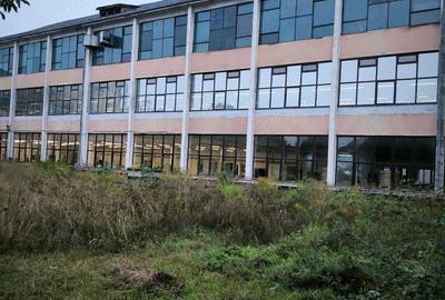 Spatii de productie de inchiriat - 1