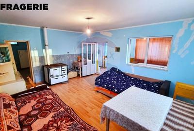 De vanzare casa traditionala renovata-teren mare si potential turistic - 8