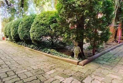 Apartament rustic, deosebit de 98 mp,  cu gradina, in Andrei Muresanu - 18