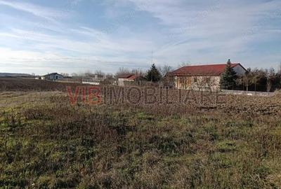 Teren de 16600 mp, în Bucovăț (Remetea Mare) - 2