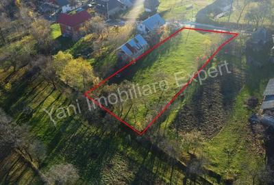 Teren de 1120 mp, în Arefu - 4