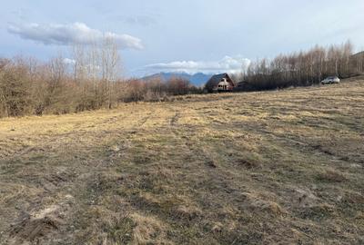 Teren Construcții intravilan de 500 mp, în Bran - 6