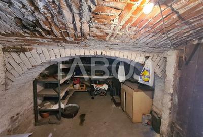 Casa cu spatiu comercial de vanzare in Sebes zona centrala - 15