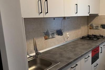 Apartament cu 2 camere decomandat, mobilat în Gorjului - 4