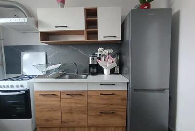 Apartament 1 camera + extra - 5