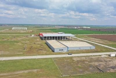 Hala de vanzare, situata in Sanandrei, judetul Timis - 4