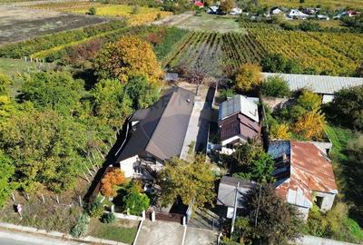 Casă individuală cu 6 camere cu Teren 1354 Mp în Țifești - 36