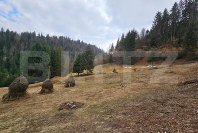 Teren în Scărișoara - 1