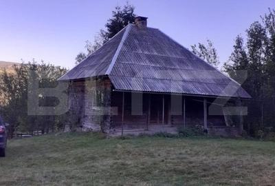 Casa la munte, cu teren 13383 mp, zona Horea - Apuseni - 2