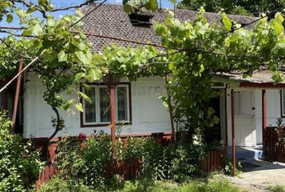 Casa la ?ara, cu dependin?e ?i gradina Casa la ?ara, cu dependin?e ?i gradina - 1