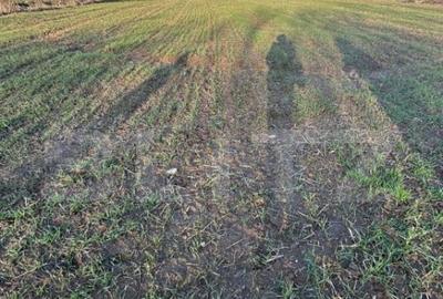 Casa batraneasca de vanzare, 48 mp, zona Patroaia Deal cu C Casa batraneasca de vanzare, 48 mp, zona Patroaia Deal cu C - 34