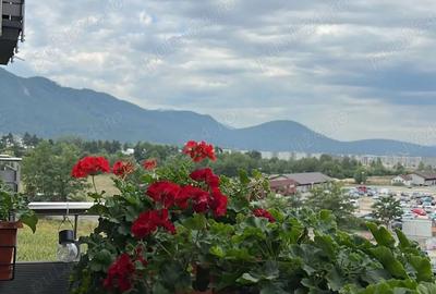 Apartament cu 2 camere decomandat în Avantgarden - 5