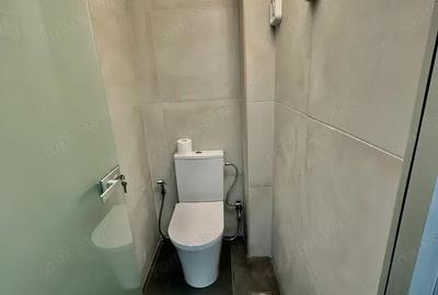 Spațiu comercial, de 52 mp, în Drumul Taberei