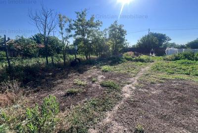 Teren intravilan de 876 mp, în Valea Cânepii - 3