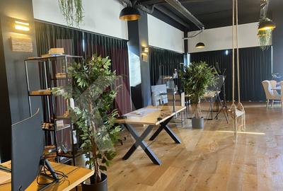 Spatii birouri de inchiriat coworking utilitati incluse Arhitectilor - 11