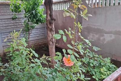 Casă cu 3 camere în Alexandriei - 2