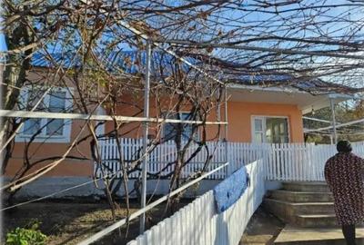 Casă cu 3 camere cu Teren 3303 Mp în Iana - 1