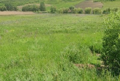 Teren agricol extravilan de 4056 mp, în Periferie - 3