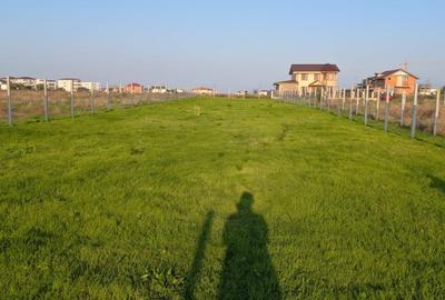 Teren Intravilan, Veterani, 500 Mp, Imprejmuit, Utilitati - 2