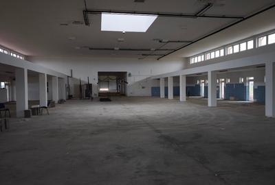 Spațiu industrial, de 3,000 mp, în Petea - 4